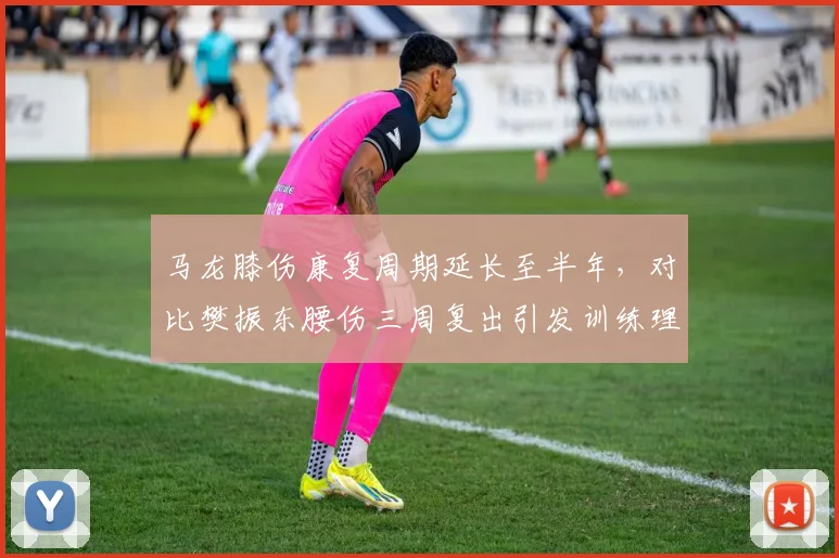 马龙膝伤康复周期延长至半年,对比樊振东腰伤三周复出引发训练理念争议